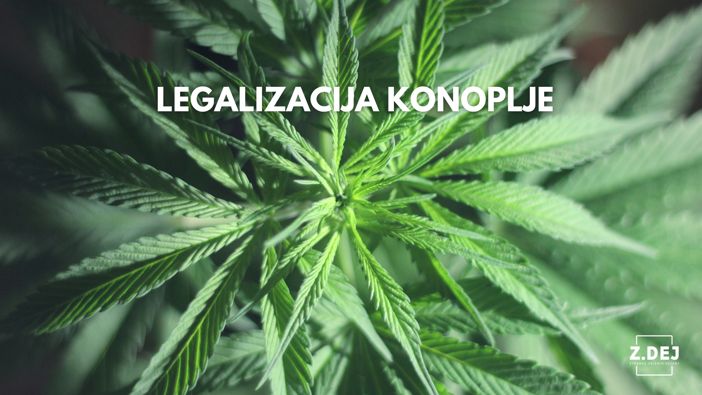 legalizacija konoplje v Sloveniji