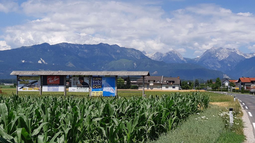 Degradacija kozolca kot simbola slovenske krajinske arhitekture.